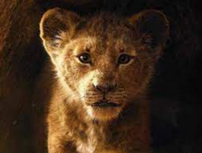 Mufasa: The Lion King