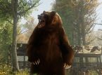 Disney World enfrenta paralisação temporária por invasão de ursos