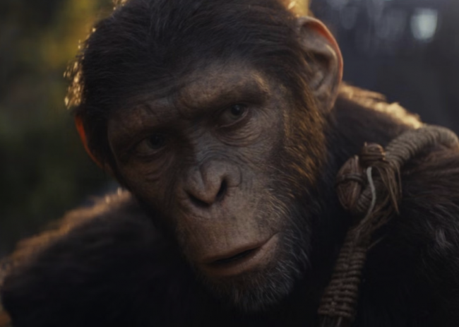 Kingdom of the Planet of the Apes