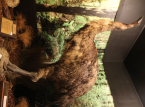 A empresa que trouxe o extinto lobo gigante de volta &agrave; vida est&aacute; agora se preparando para reviver o p&aacute;ssaro gigante Moa, da Nova Zel&acirc;ndia