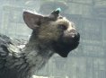 The Last Guardian tem finalmente uma data de lan&ccedil;amento