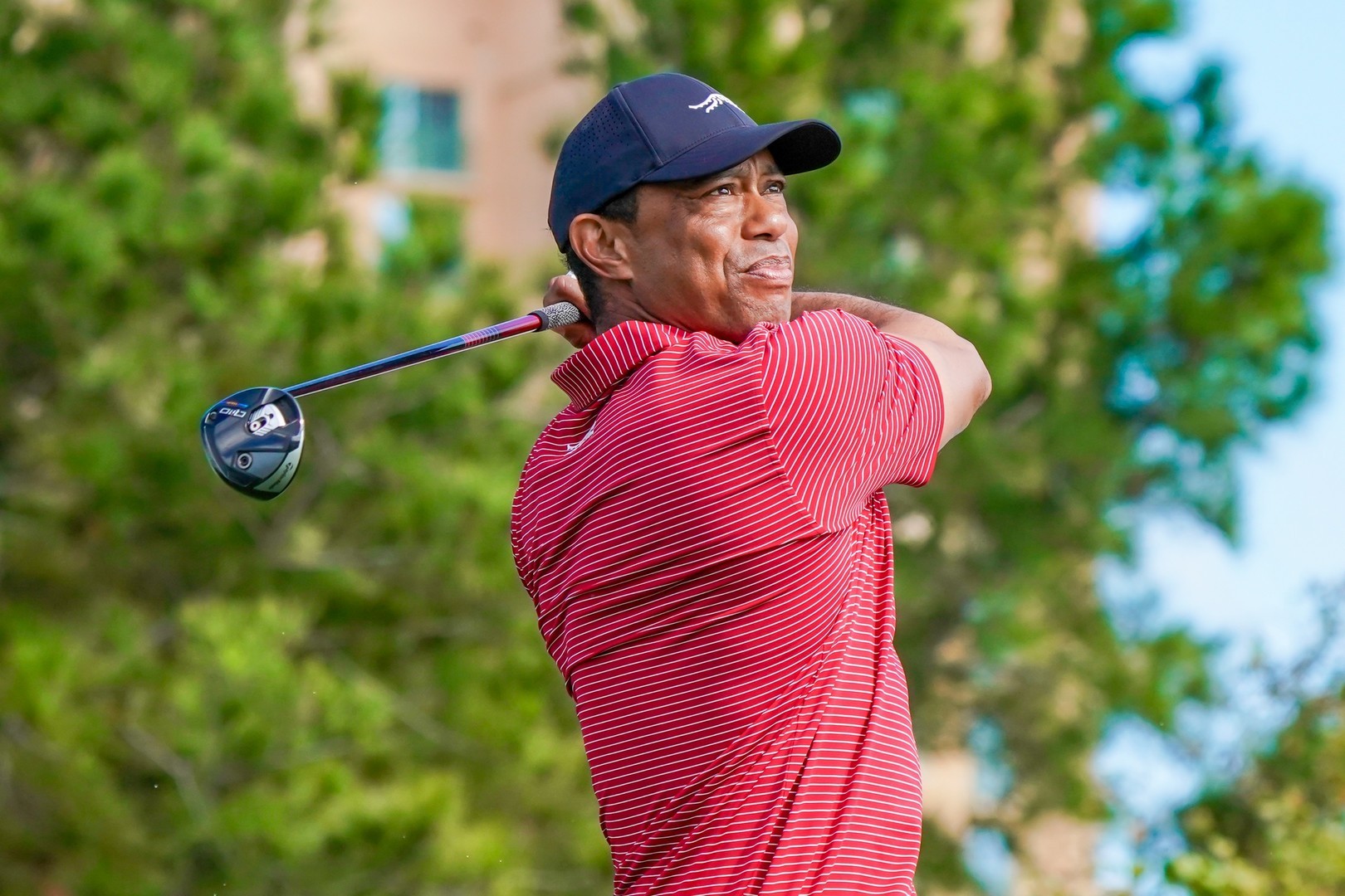 Tiger Woods perde carteira de motorista por cinco anos após alegação de direção imprudente