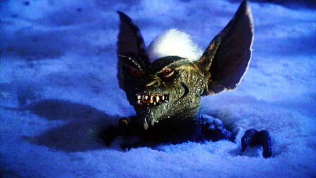 Gremlins não será reiniciado enquanto Steven Spielberg e Chris Columbus estiverem por perto