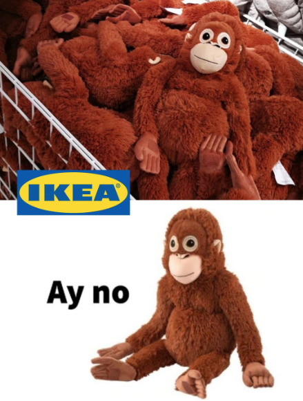 Quem é Soco no Macaco? O jovem macaco que se tornou quase mais famoso que Donald Trump