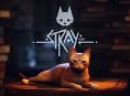 Stray j&aacute; est&aacute; dispon&iacute;vel no Xbox