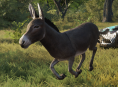 O burro que modelou para o burro em Shrek faleceu
