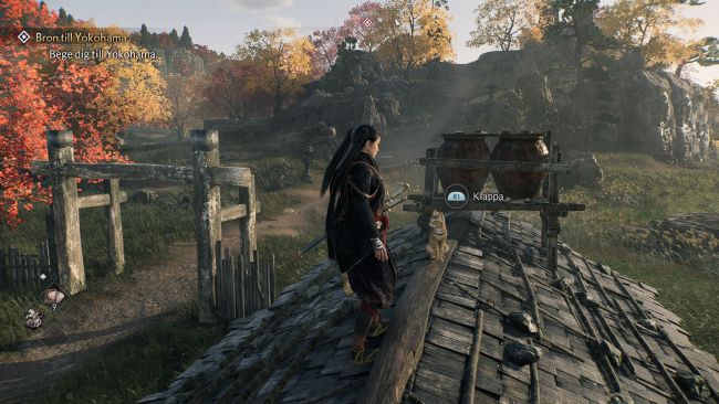 Rise of the Ronin