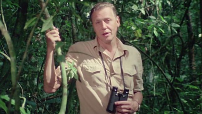 BBC homenageia David Attenborough e 50 anos de Vida na Terra com homenagem especial
