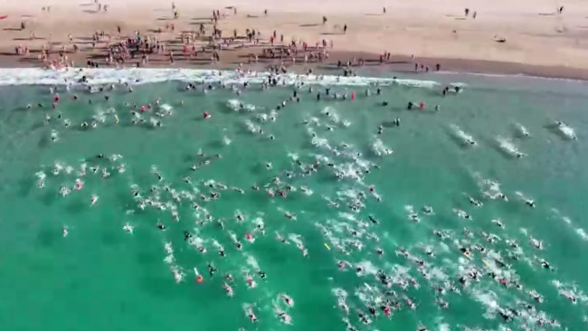 Uma semana após um ataque quase fatal de tubarão em Sydney, milhares se reúnem para nadar na mesma praia em homenagem emocional