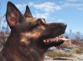 Rumor: Em breve voc&ecirc; poder&aacute; obter animais de estima&ccedil;&atilde;o em Fallout 76 