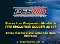 Campeonato Oficial de PES 2014