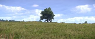 Kingdom Come: Deliverance 2 - Brushes With Death