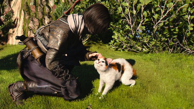 Assassin's Creed Shadows