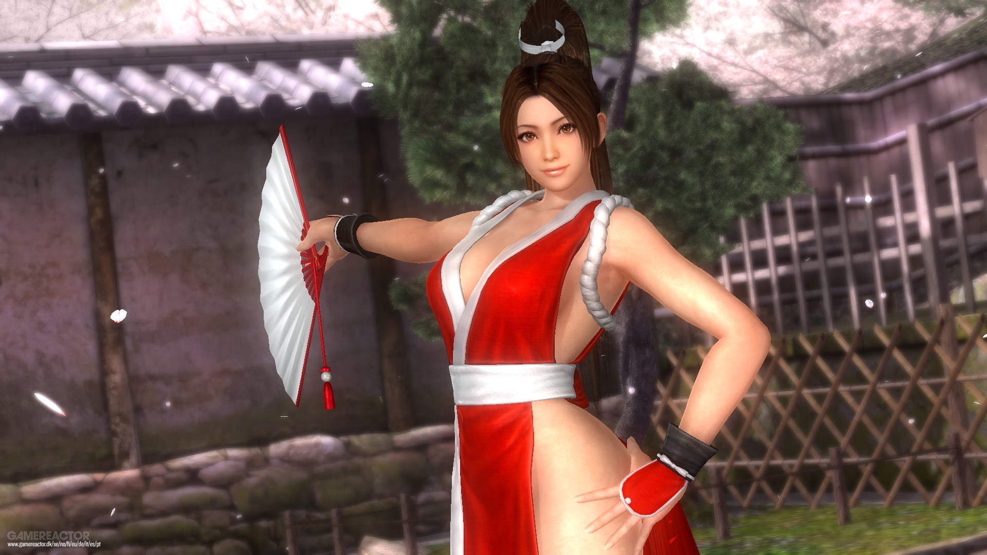 Dead or Alive 5: Last Round