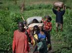 Crise no Burundi: mais de 60.000 fogem da viol&ecirc;ncia no Congo