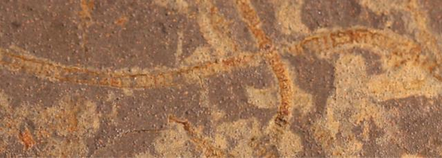 Cientistas descobrem vestígios de vida fotossintética 1 bilhão de anos mais antigos do que se sabia anteriormente