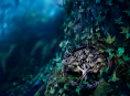 Dos criadores de Coraline vem Wildwood, com estreia prevista para outubro
