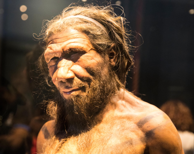 Estudos sugerem que os machos neandertais se acasalavam com fêmeas humanas com mais frequência