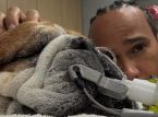 O cachorro de Lewis Hamilton, Roscoe, est&aacute; em coma: o campe&atilde;o da F&oacute;rmula 1 compartilha uma mensagem sincera