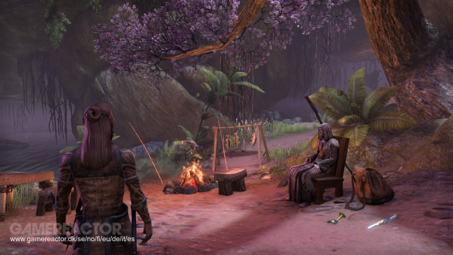 The Elder Scrolls Online: Tamriel Unlimited - PS4, Xbox One