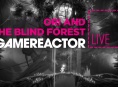 GRTV Livestream: Ori & The Blind Forest
