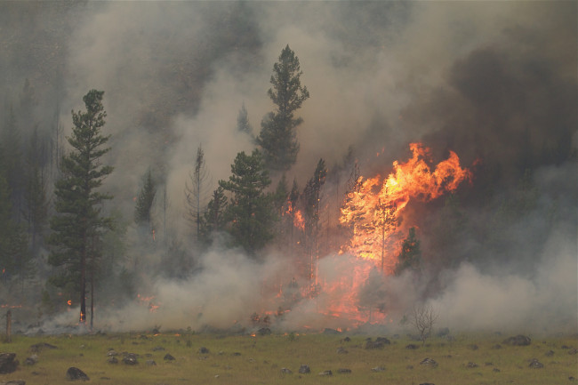 Estado de emergência declarado em Washington enquanto incêndios florestais varrem a região dos EUA