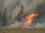 Estado de emerg&ecirc;ncia declarado em Washington enquanto inc&ecirc;ndios florestais varrem a regi&atilde;o dos EUA