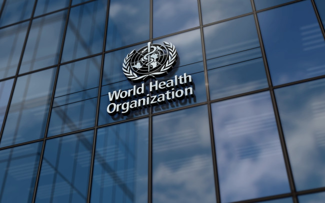Quase 4,9 milhões de crianças menores de cinco anos morreram em 2024, segundo a ONU