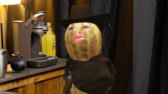TheBurntPeanut não faz uma revelação facial mesmo quando oferece 1 milhão de dólares do MrBeast