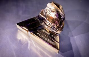 OG e Paws Gaming eliminadas da Copa do Mundo Honor of Kings 