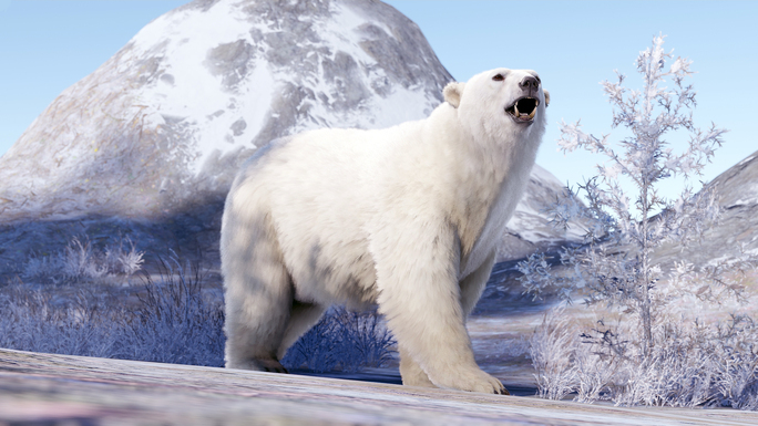 Uma pessoa foi multada por acordar um urso polar adormecido na Noruega