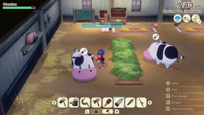 Story of Seasons: Grand Bazaar