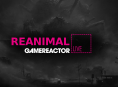 Estamos tocando Reanimal no GR Live de hoje