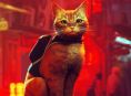 Stray est&aacute; recebendo um filme de anima&ccedil;&atilde;o