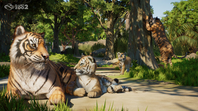 Planet Zoo 2 Prévia: Uma sequência ambiciosa que eleva a fórmula de Planet