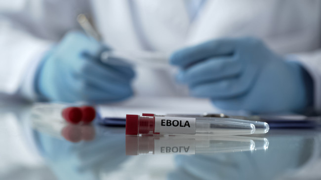Os líderes do G7 comprometem-se com uma resposta coordenada ao ressurgimento do surto de Ebola na RDC e em Uganda