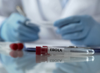A epidemia de Ebola pode durar um ano, prev&ecirc; a Cruz Vermelha