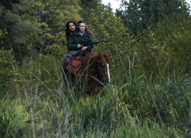 The Last of Us (HBO Max)