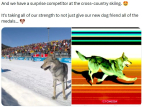 Conta oficial do Olympics X deletou discretamente uma postagem engra&ccedil;ada sobre o incidente viral, mas relativamente perigoso com o cachorro