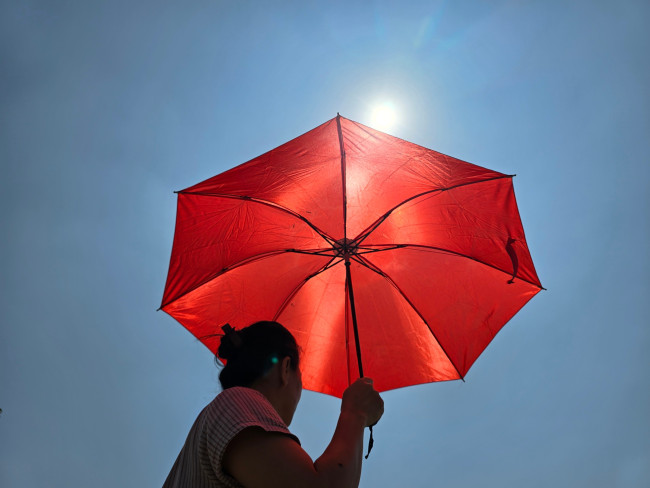 Crises climáticas representando uma ameaça crescente à democracia, segundo novo relatório