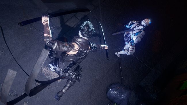 Ninja Gaiden 4
