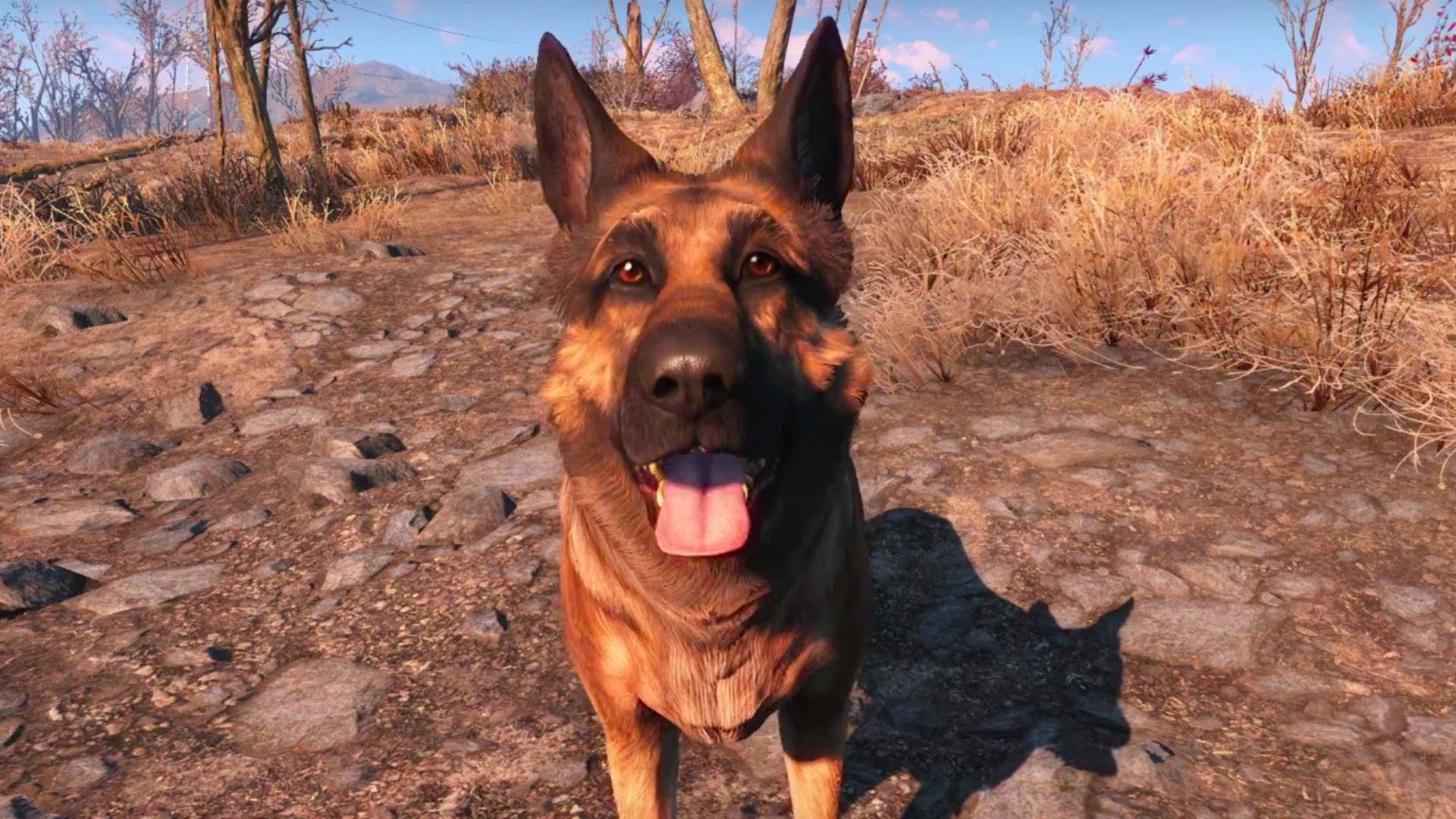 Desenvolvedores de 'Fallout 76' respondem perguntas sobre o futuro do jogo Clique para ver a imagem em tamanho original