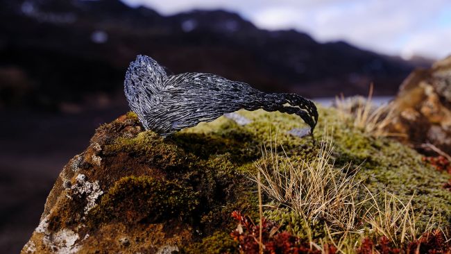 Senua's Saga: Hellblade II