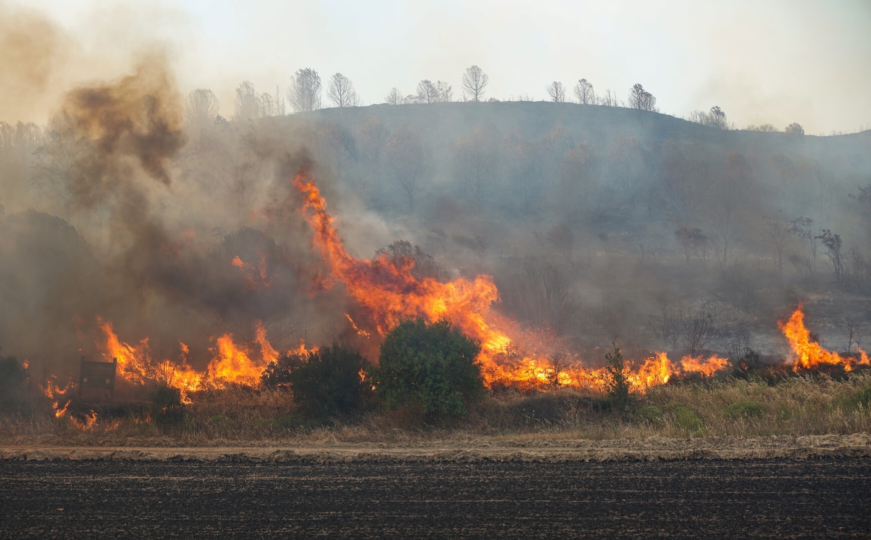 Incêndios florestais em Almería, Espanha, deixaram 11 mortos enquanto tentavam escapar das chamas