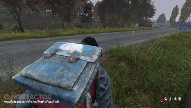 DayZ