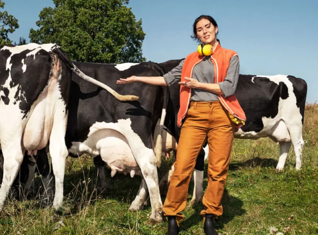 É formada luz verde para a fusão da Arla como uma das maiores empresas de laticínios da Europa