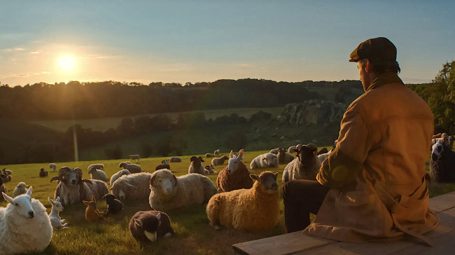 The Sheep Detectives