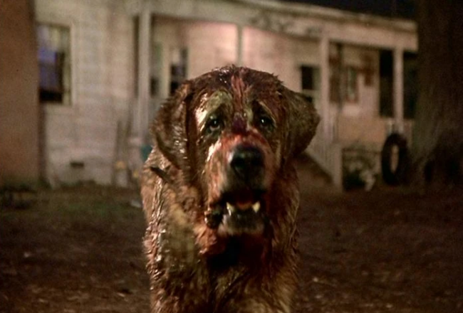 Netflix planeja um remake de Cujo, de Stephen King