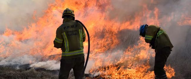 Bombeiros gregos enfrentam um grande incêndio florestal a noroeste de Atenas