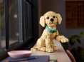 Lego apresenta um adorável conjunto de filhote de Golden Retriever